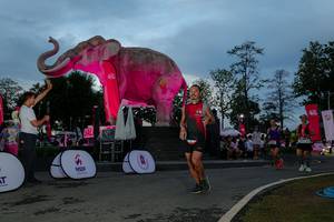 BIB: 
                            <button type="button" onclick="openModal(26529615)" class="btn btn-primary btn-sm float-right btn-popup" data-toggle="modal" data-target=".modal-high-quality">
                        <i class="fas fa-shopping-cart"></i> Add to Cart
                    </button>
                                            <button type="button" onclick="isThisMe(26529615, true)" class="btn btn-success btn-sm float-right btn-popup btn-isme hidden" data-toggle="tooltip" data-placement="bottom" title="นี่คือรูปของคุณใช่ไหม คลิกที่นี่เพื่อเอาเข้าอัลบั้ม">
                        <i class="fas fa-plus"></i> Add to album
                    </button>
                    <button type="button" onclick="isThisMe(26529615, false)" class="btn btn-warning btn-sm float-right btn-popup btn-isnotme hidden">
                        <i class="fas fa-ban"></i> Remove from album
                    </button>